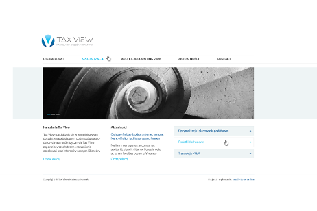projekt strony internetowej dla TAX VIEW - Kancelaria Radców Prawnych
