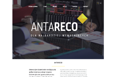 projekt strony internetowej dla ANTARECO - Dla Najbardziej Wymagających