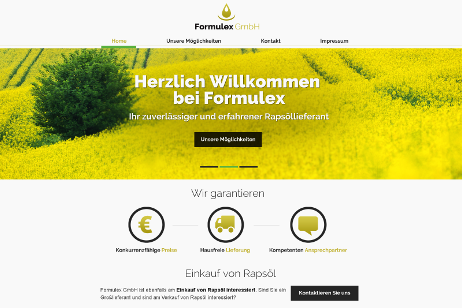 projekt strony internetowej dla Formulex GmbH