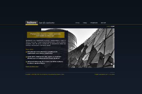 projekt strony internetowej dla Baltoro - Tax and Customs